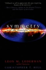 Symmetry and the Beautiful Universe