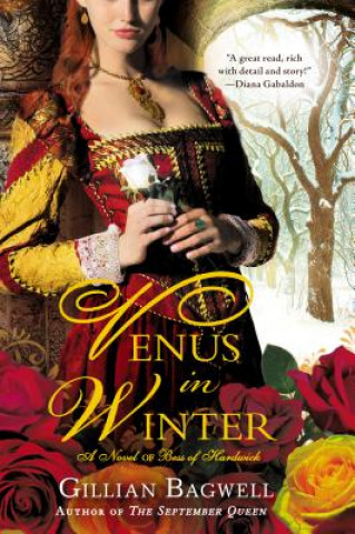 VENUS IN WINTER