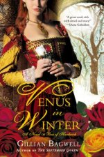 VENUS IN WINTER