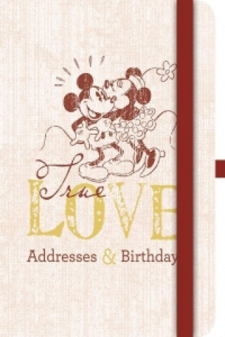 Green Address & Birthdays Mickey - Retro