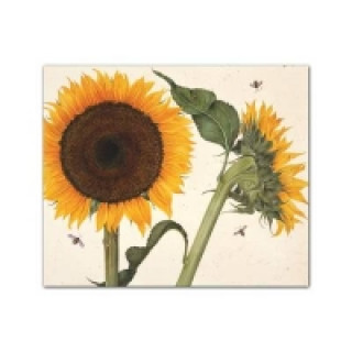 Botanicals QuickNotes