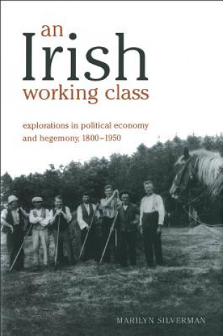 Irish Working Class
