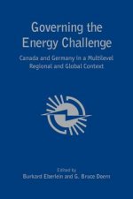 Governing the  Energy Challenge