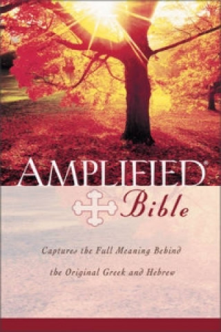 Amplified Bible, Bonded Leather, Burgundy, Indexed