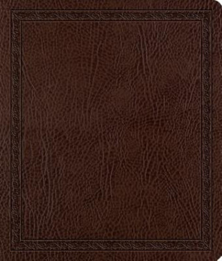 ESV Journaling Bible