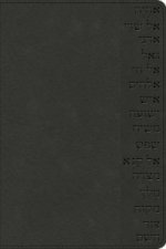Names of God Bible