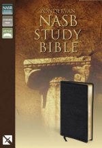 NASB, Zondervan NASB Study Bible, Bonded Leather, Black, Red Letter