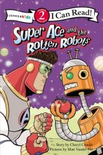 Super Ace and the Rotten Robots