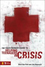 Youth Worker's Guide to Helping Teenagers in Crisis