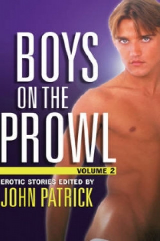 Boys On The Prowl Volume 2