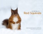 On the Trail of Red Squirrels