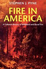 Fire in America