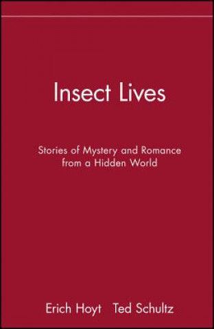 Insect