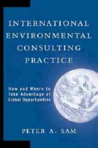 International Environmental Consulting Practice