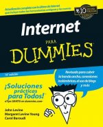 Internet Para Dummies