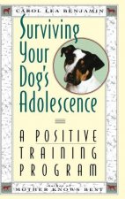 Surviving Your Dog's Adolescence