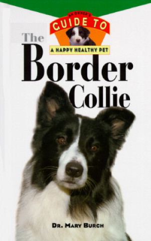 Border Collie: Guide to Happy Health