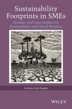 Sustainability Footprints in SMEs - Strategy and Case Studies for Entrepreneurs and Small Business