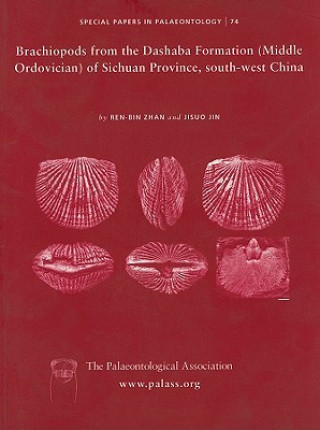 Palaeontology 74 - Brachiopods from the Dashaba Formation (Middle Ordovician) of Sichuan Province,  South-west China 74