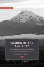 Shadow of the Almighty