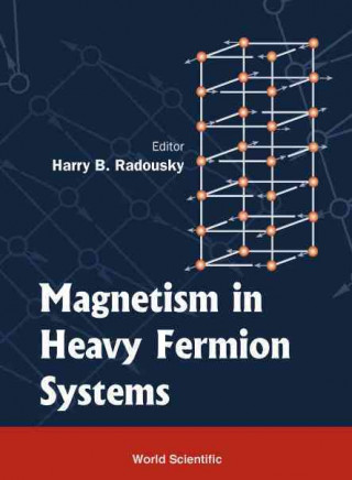 Magnetism In Heavy Fermion Systems