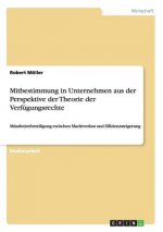 Mitbestimmung in Unternehmen aus der Perspektive der Theorie der Verfügungsrechte
