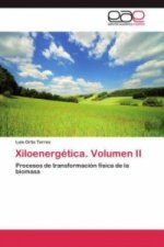 Xiloenergetica. Volumen II