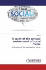 A study of the cultural environment of social media