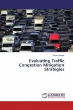 Evaluating Traffic Congestion Mitigation Strategies