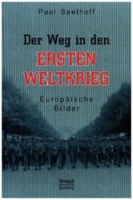 Der Weg in den Ersten Weltkrieg: Europäische Bilder