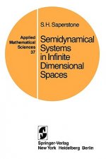 Semidynamical Systems in Infinite Dimensional Spaces