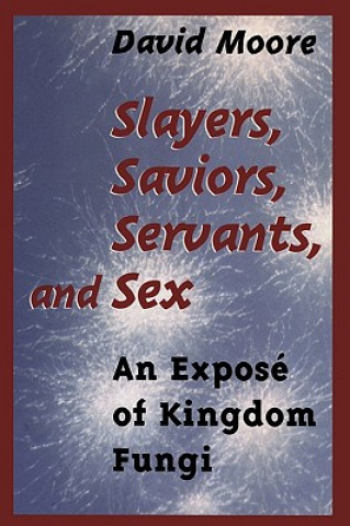 Slayers, Saviors, Servants and Sex