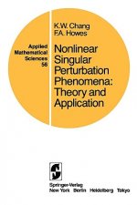 Nonlinear Singular Perturbation Phenomena