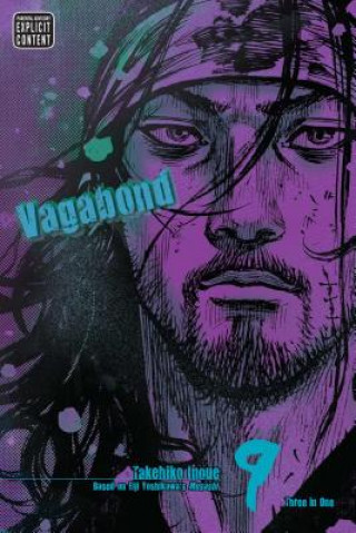 Vagabond 9: Vizbig Edition-image
