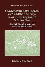 Leadership Strategies, Economic Activity, and Interregional Interaction