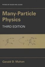 Many-Particle Physics