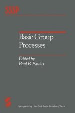 Basic Group Processes