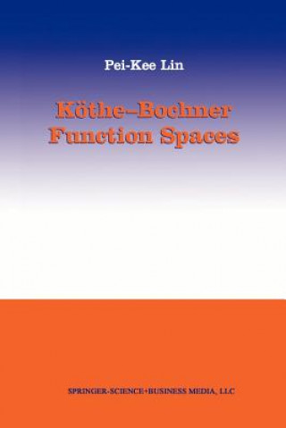 Köthe-Bochner Function Spaces
