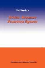 Köthe-Bochner Function Spaces