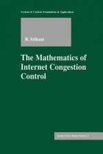 Mathematics of Internet Congestion Control