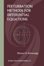 Perturbation Methods for Differential Equations