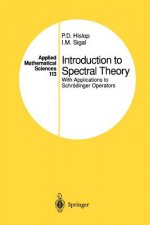 Introduction to Spectral Theory