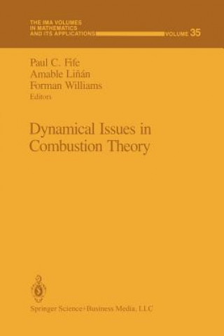 Dynamical Issues in Combustion Theory