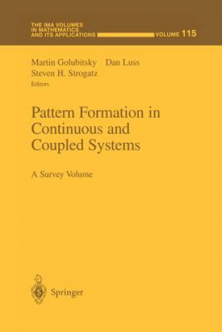 Pattern Formation in Continuous and Coupled Systems