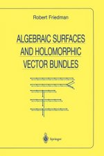 Algebraic Surfaces and Holomorphic Vector Bundles