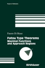 Fatou Type Theorems