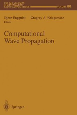 Computational Wave Propagation
