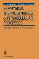 Biophysical Thermodynamics of Intracellular Processes