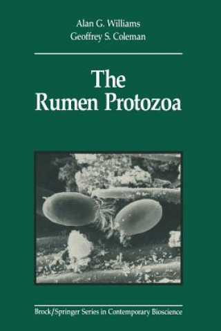Rumen Protozoa