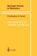 Statistical Theory of Shape